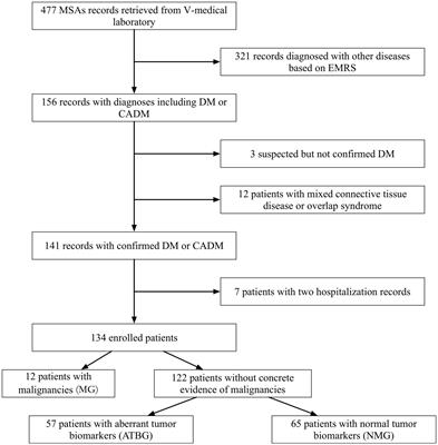 Malignancy in dermatomyositis: a mono-centric retrospective study of 134 patients in China and a potential predictive model